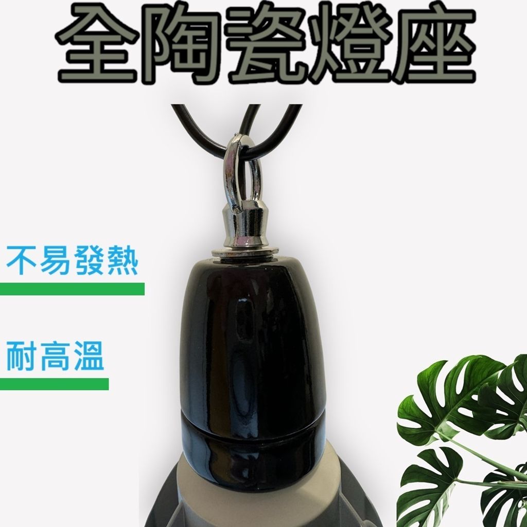 tw-11134207-7r98t-lszrswdbrrig63