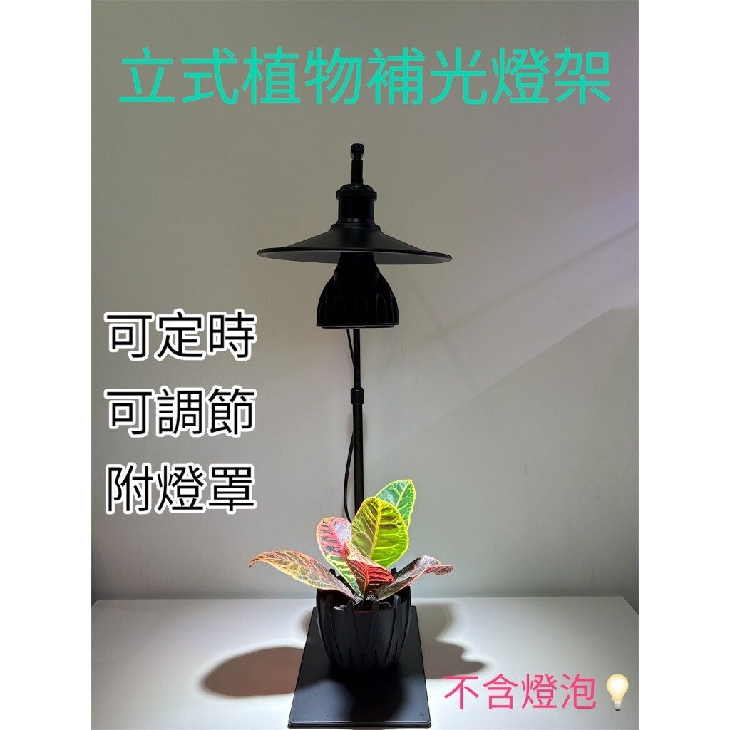 tw-11134207-7rasj-m1y83msguq9x5a