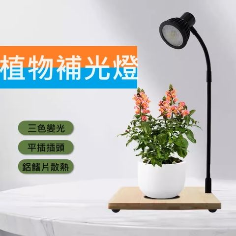 tw-11134207-7r98x-lvdg7hsmvhkpdb