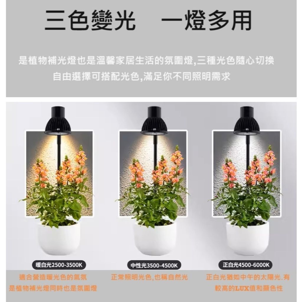 tw-11134207-7r98s-lvdg7hsmemrd23