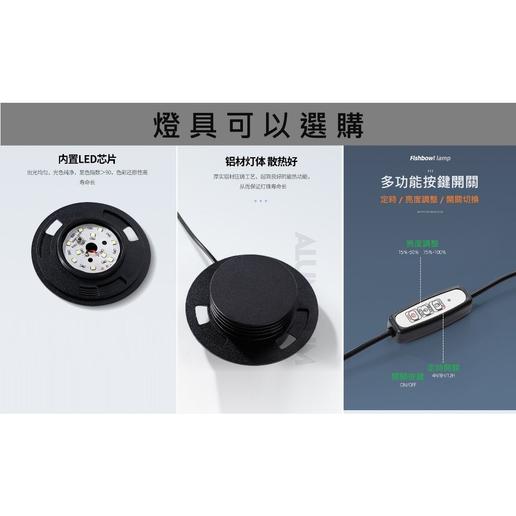 tw-11134207-7r98p-lvgyj6w6ewdq2e