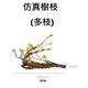 多枝(1.4米)