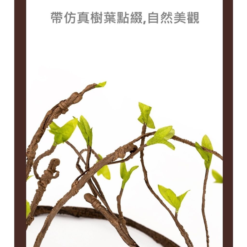 tw-11134207-7rask-m177mlcgivo87b