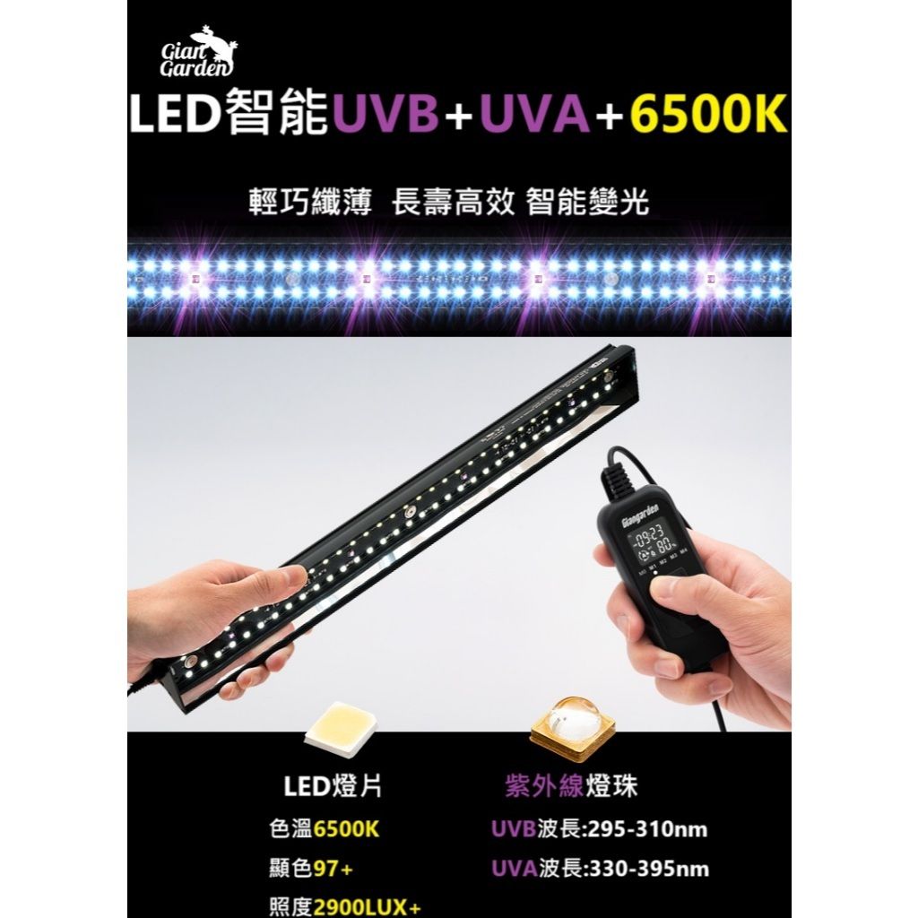 tw-11134207-7rasl-m0ncjx14z6j715