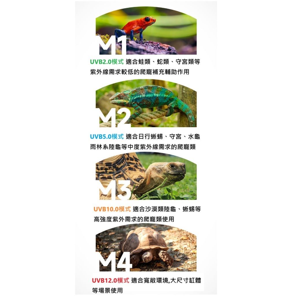 tw-11134207-7rask-m0ncjx14xryr60