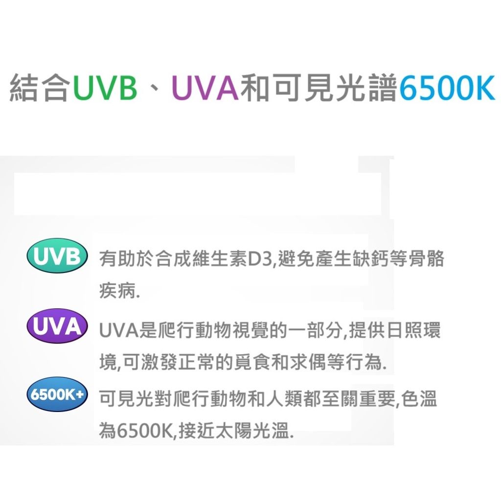 tw-11134207-7rasd-m0ncjx14xrl338