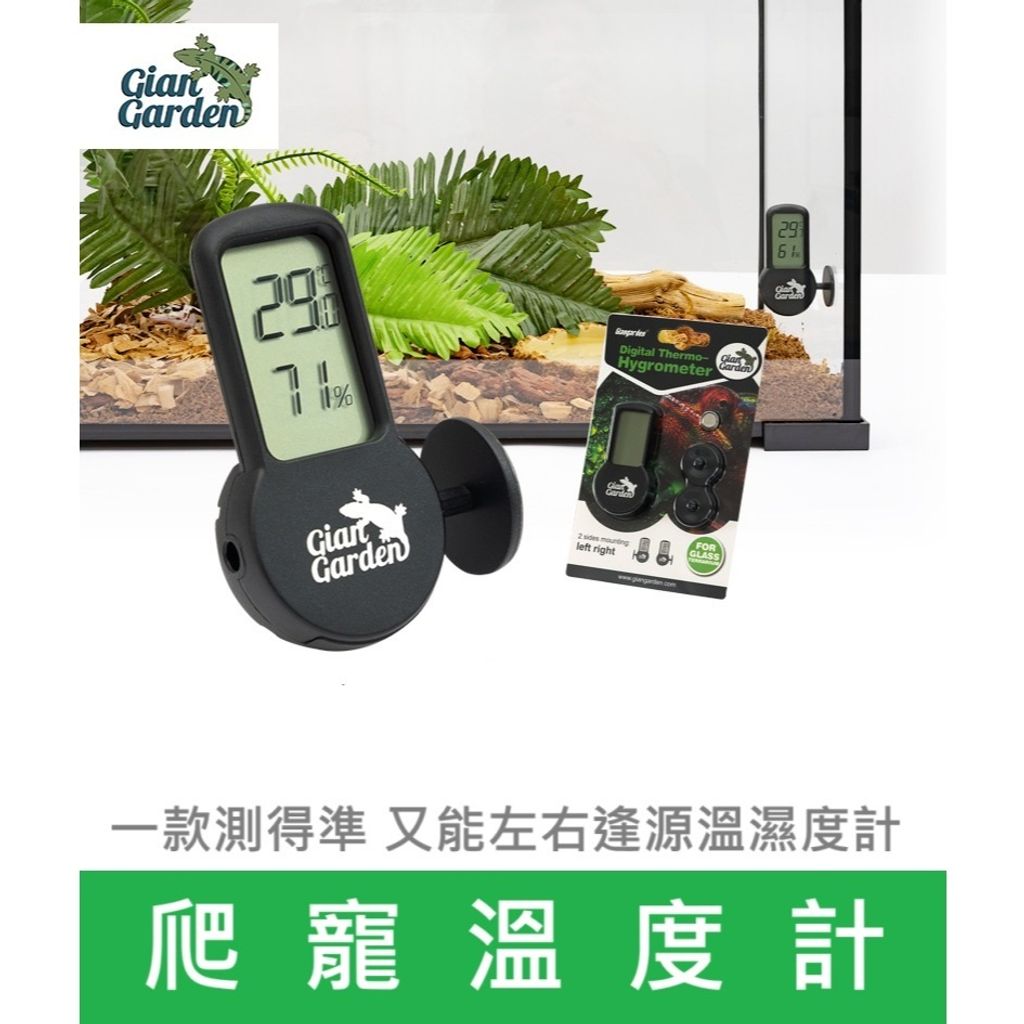 tw-11134207-7ras8-m29qi7z54xj9ef