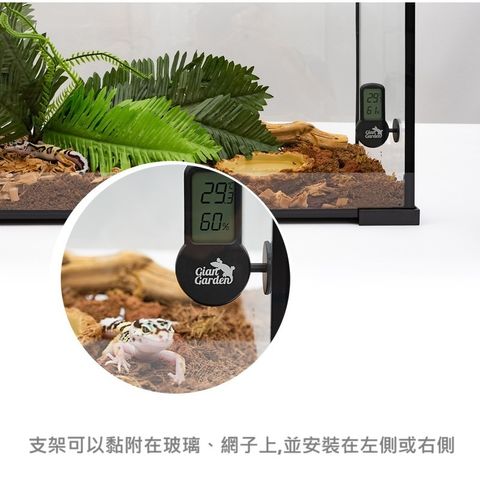 tw-11134207-7rash-m29qi7z54wt6f7