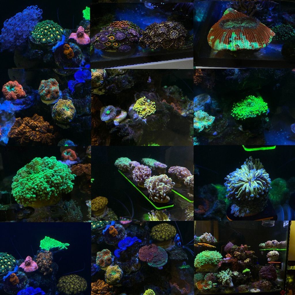 c8ee5a9663b2afe099ab48ad481f0bd1