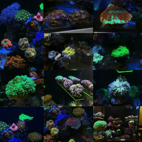 c8ee5a9663b2afe099ab48ad481f0bd1