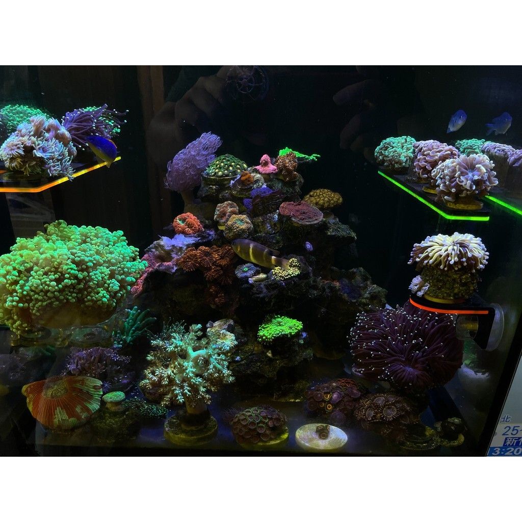 1bcd16b0cafff25039e4ed700fedb28d