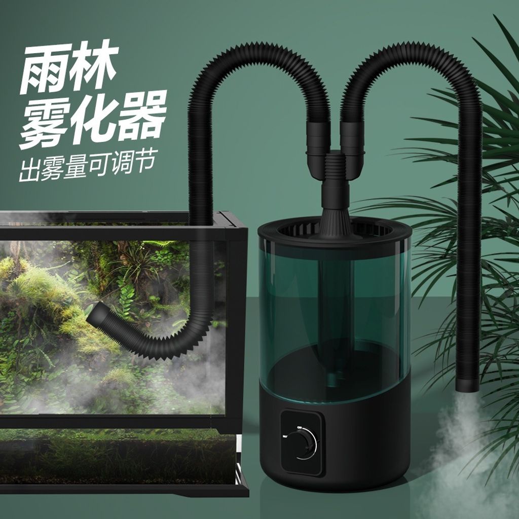 tw-11134207-7r98u-ltg8gun66i5r2d