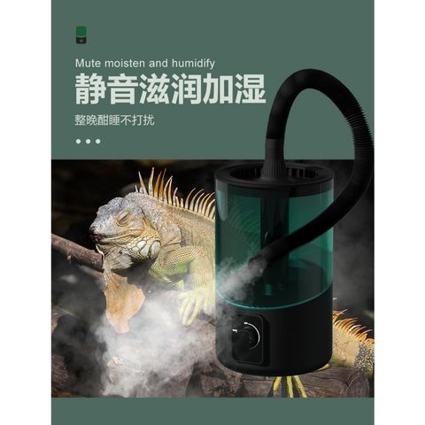 tw-11134207-7r98s-ltg8gun6c4fj7f