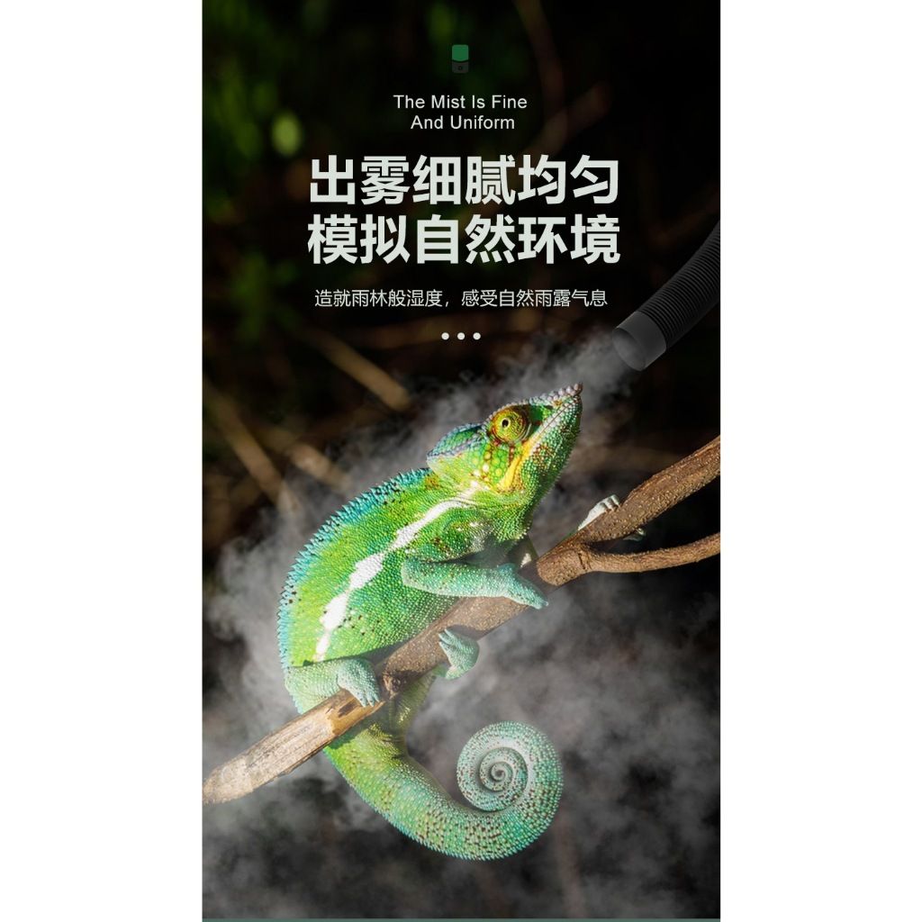 tw-11134207-7r98v-ltg8gun6lyen1f