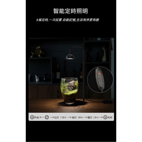 tw-11134207-7r98u-lm0esmvdnb8bf2