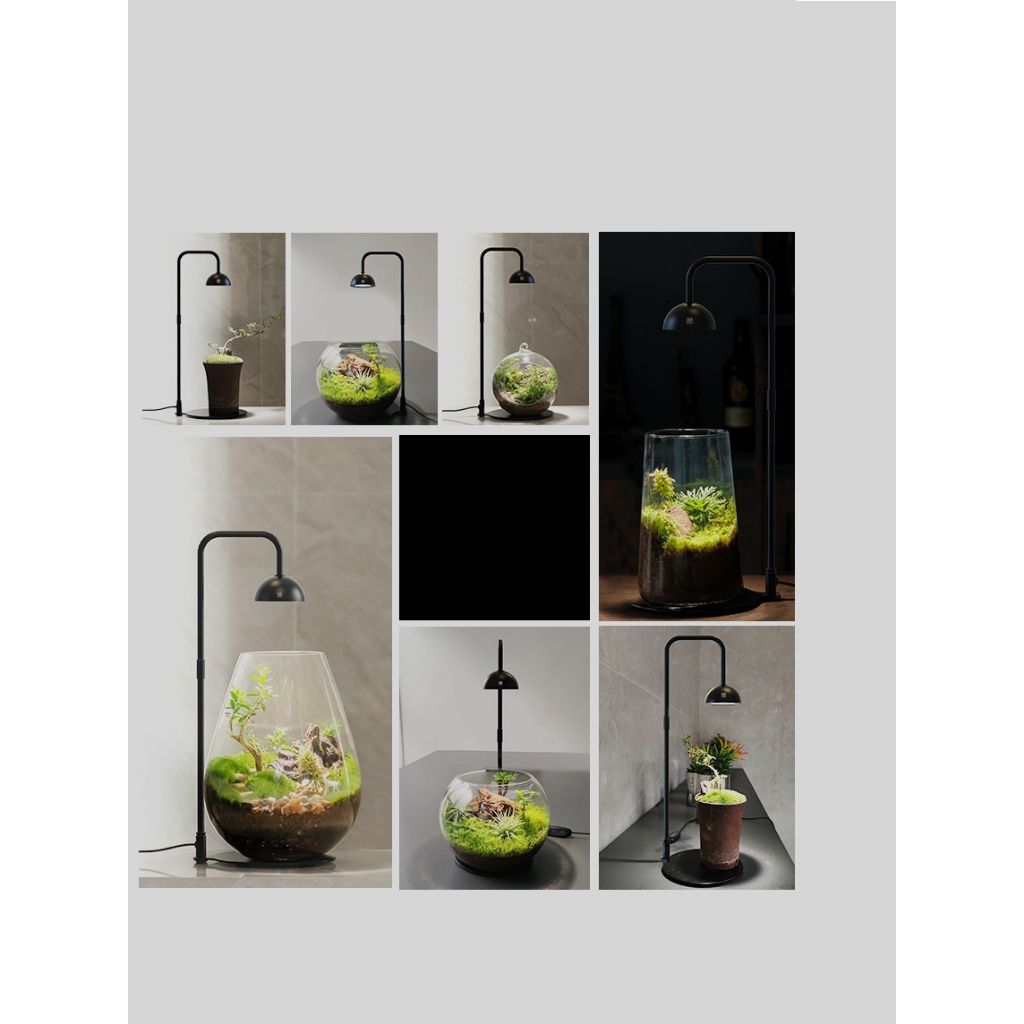 tw-11134207-7r98y-lm0esmvo2cuzf4