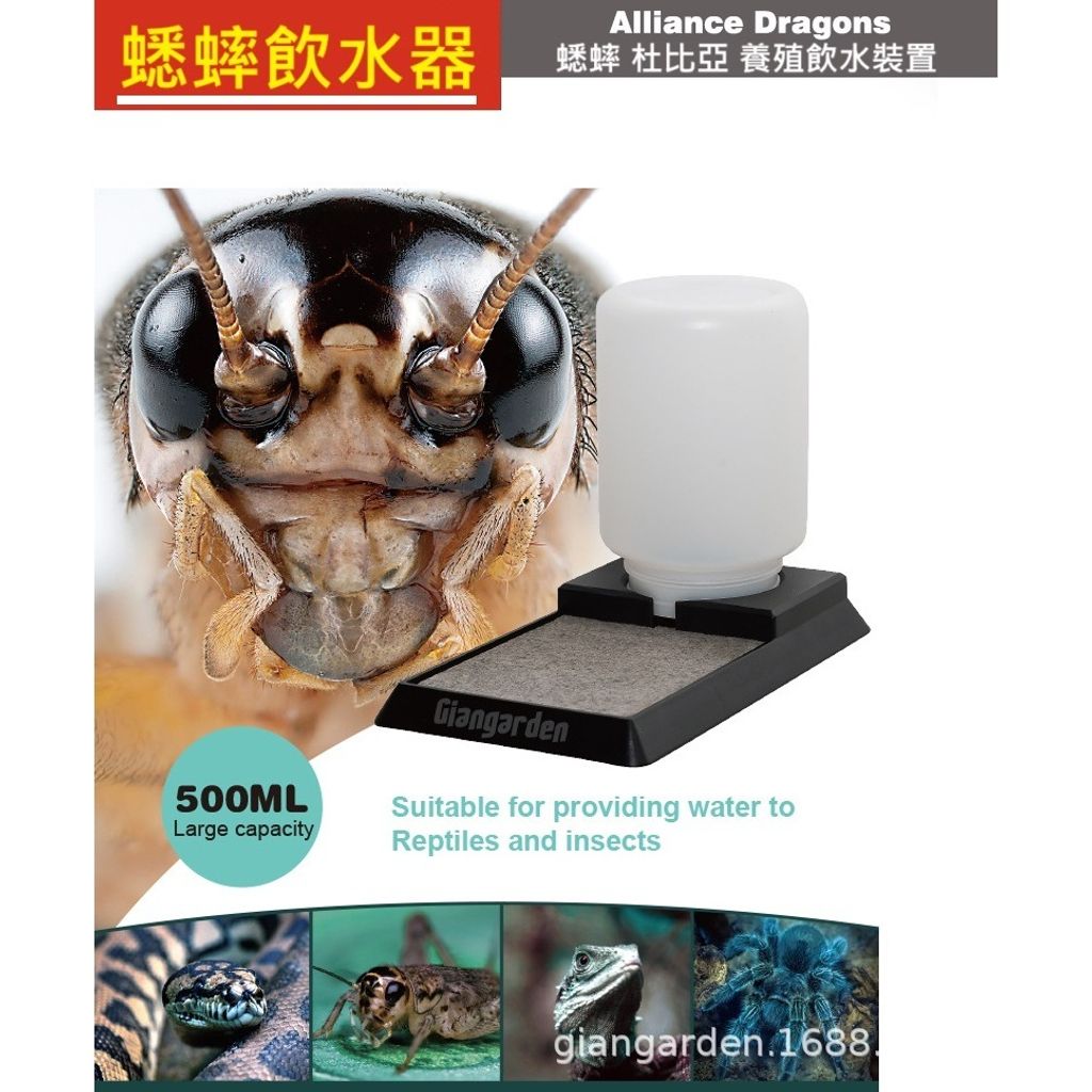 tw-11134207-7ras9-m29prwvh3siid0