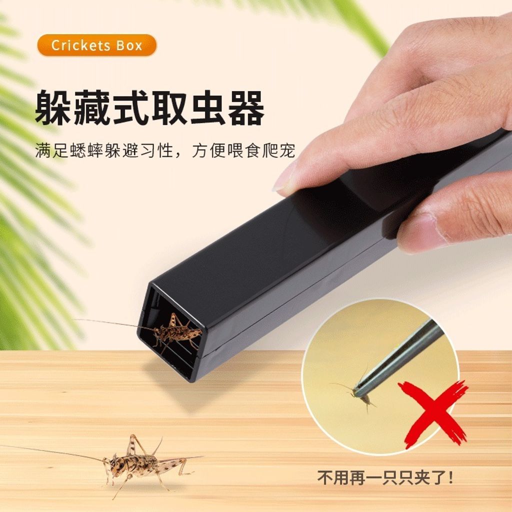 tw-11134207-7rasf-m0n8nyuho79v5a