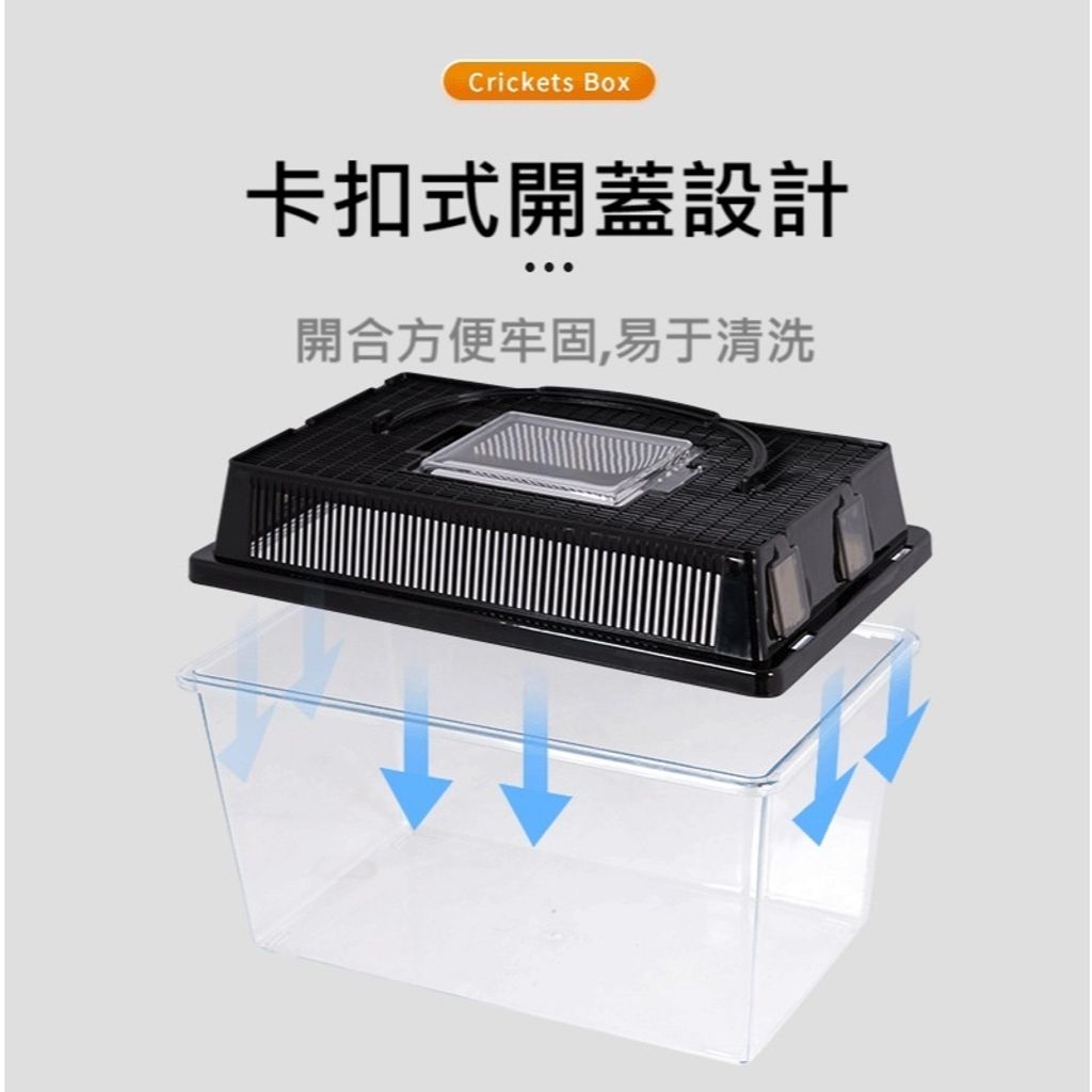 tw-11134207-7rasf-m0n8nyurp783ae