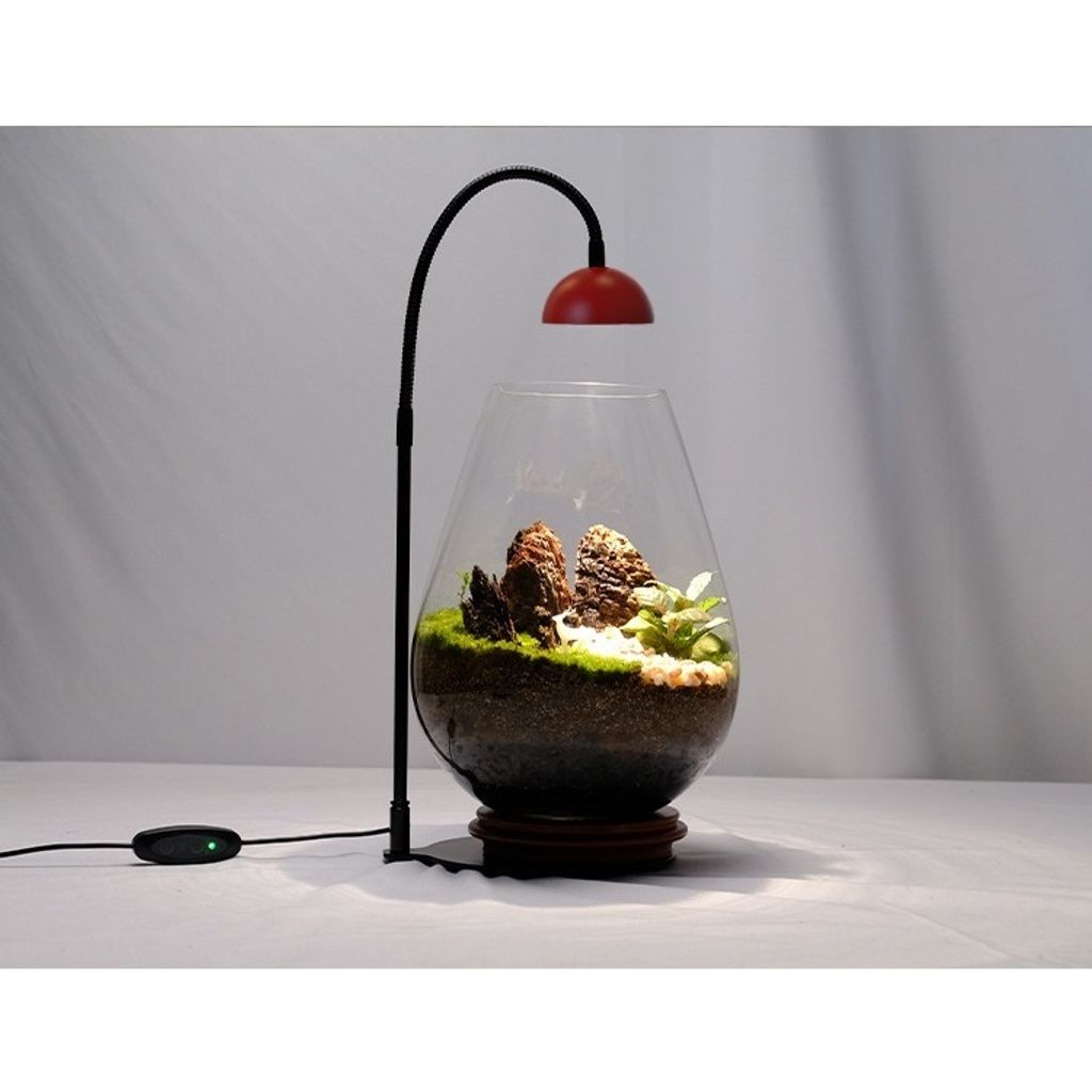 tw-11134207-7r98s-lu3lqu8nuyj1da