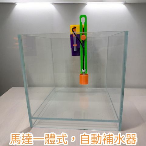 tw-11134207-7ras9-m0x3yd76hgly68