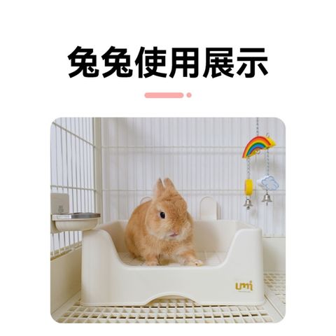 tw-11134207-7rasc-m2v4sycknc7f24