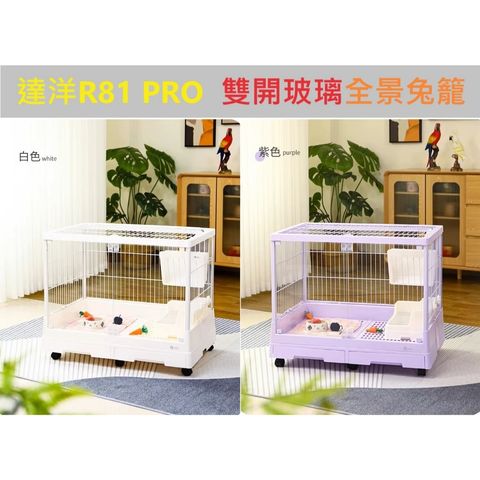 tw-11134207-7r98y-lvugw8khti5saf