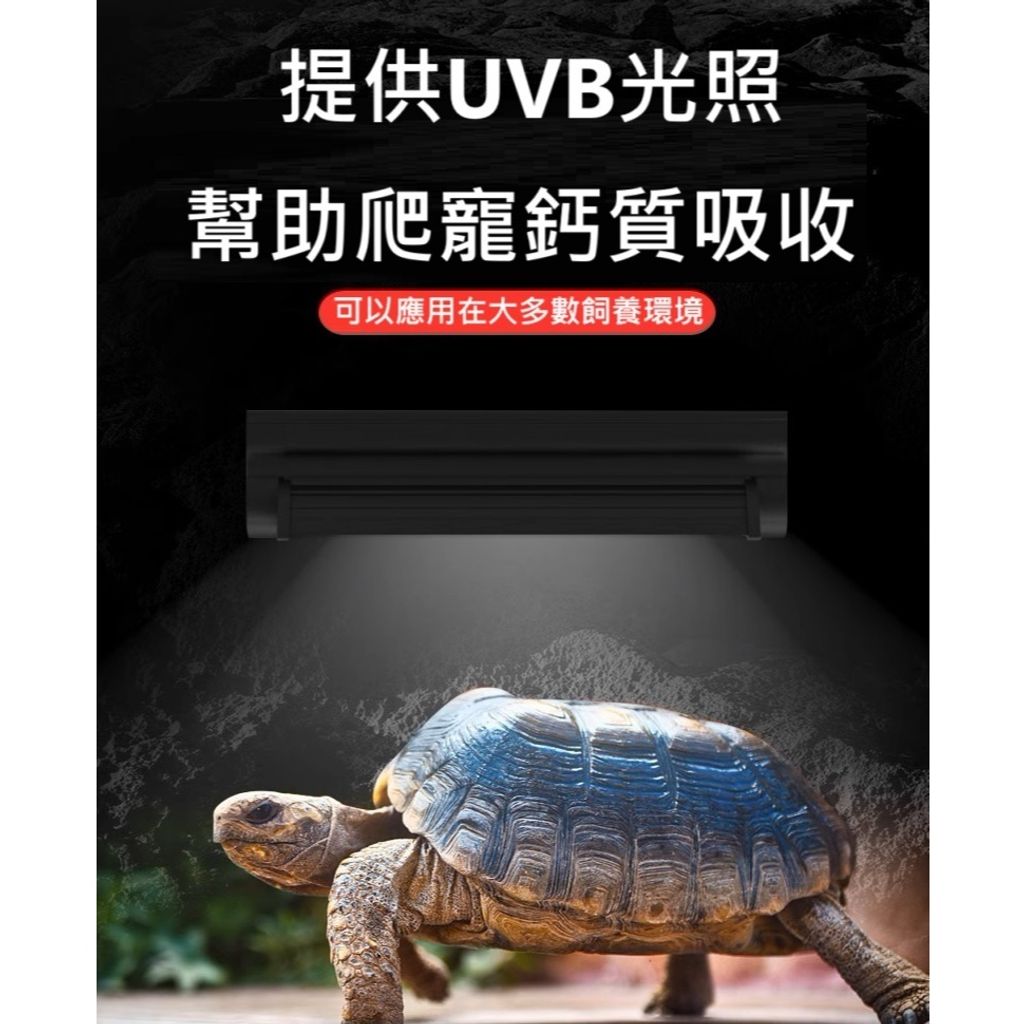 tw-11134207-7rasa-m3aupj5nurkqad