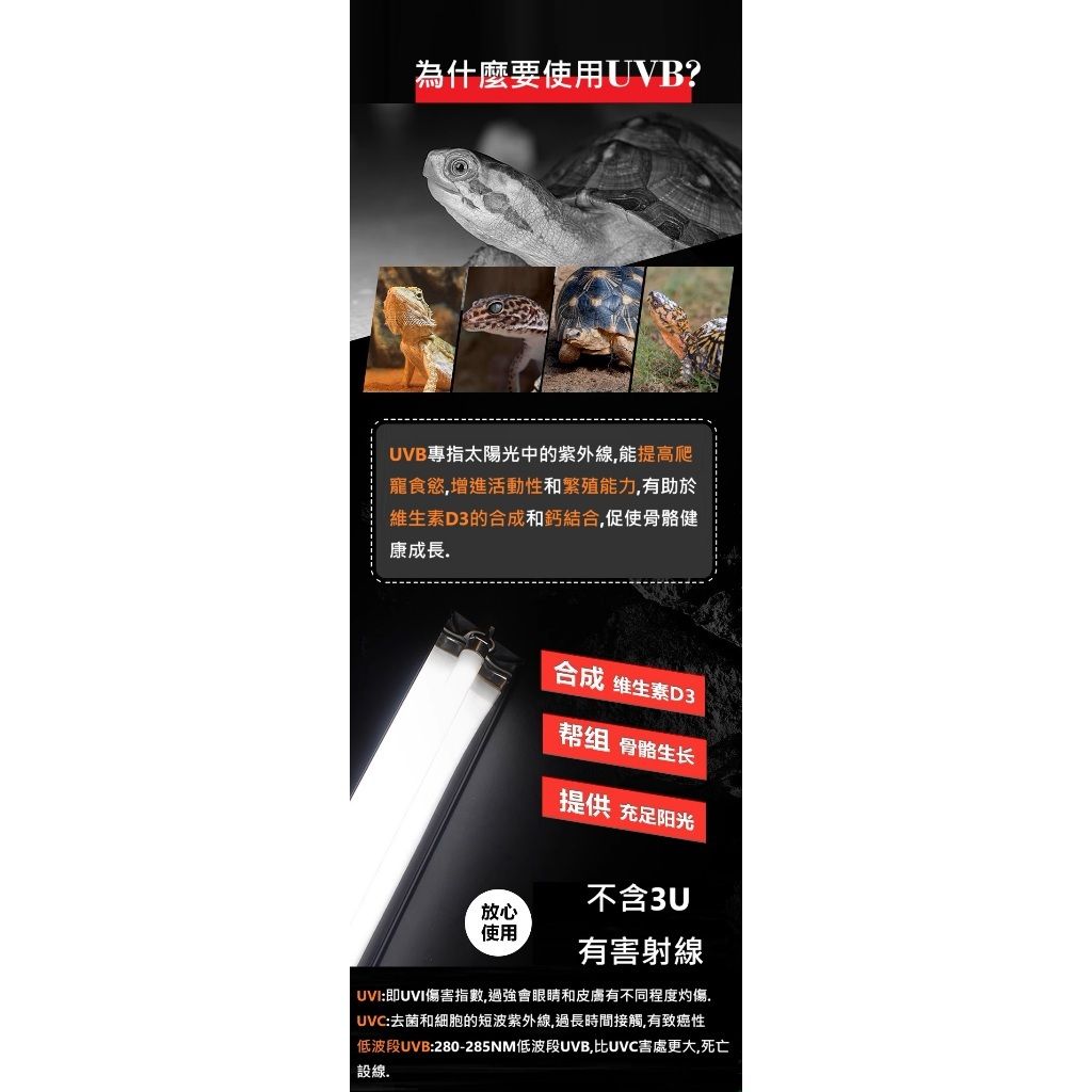 tw-11134207-7rasi-m3aupj5ntd0a8d