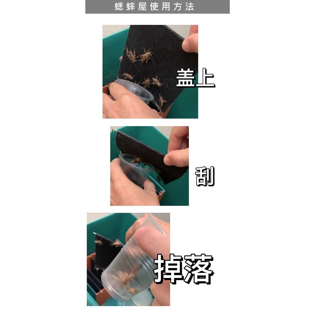 tw-11134207-7rash-m0x01jy2q0rafb