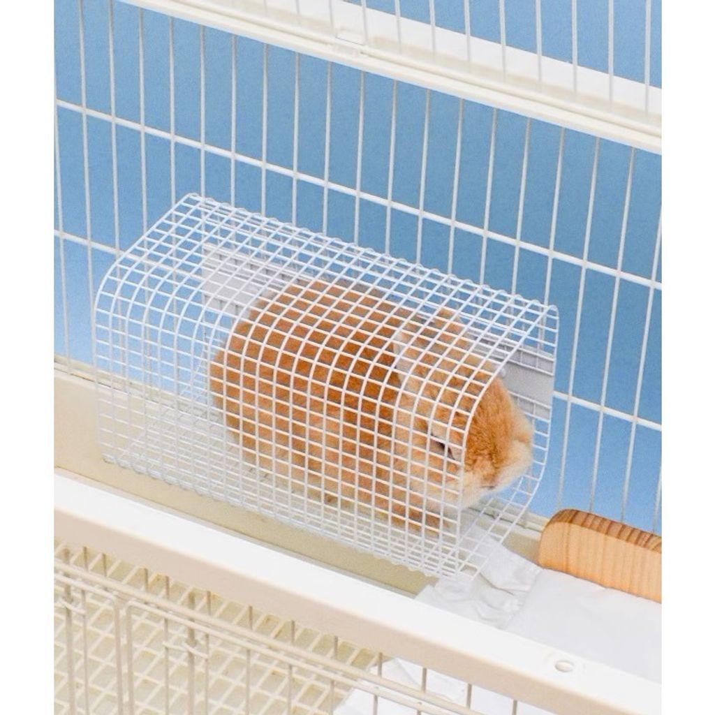 tw-11134207-7rasc-m2yqnx6hosx772