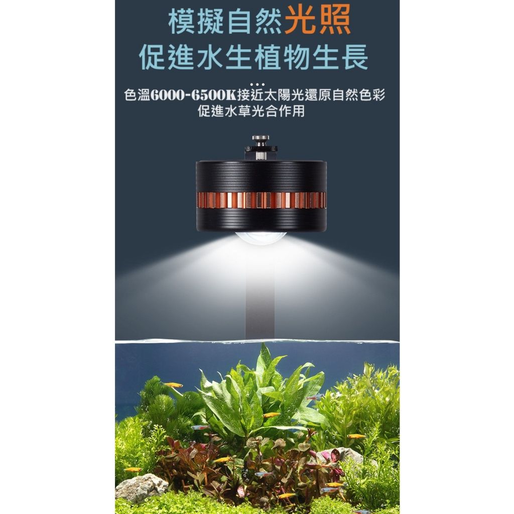 tw-11134207-7r990-lx4ymfndj6swcd