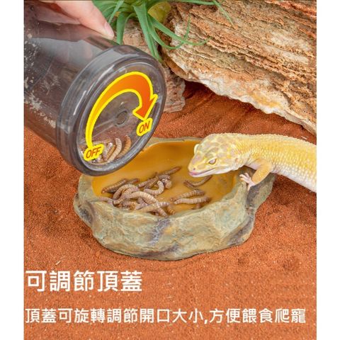 tw-11134207-7rasj-m1777xp8o2xk0c