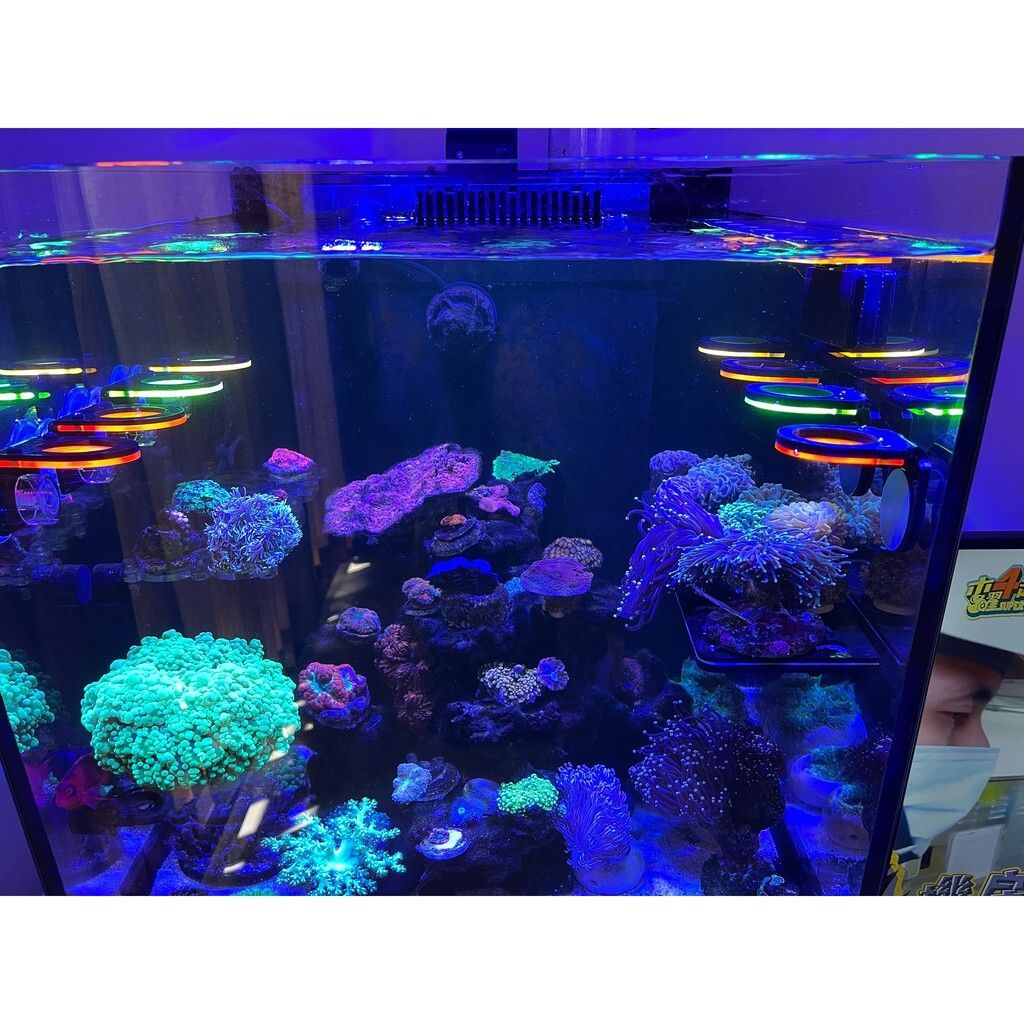 5ff5a8fcd1b62db8dc50aab57705800e