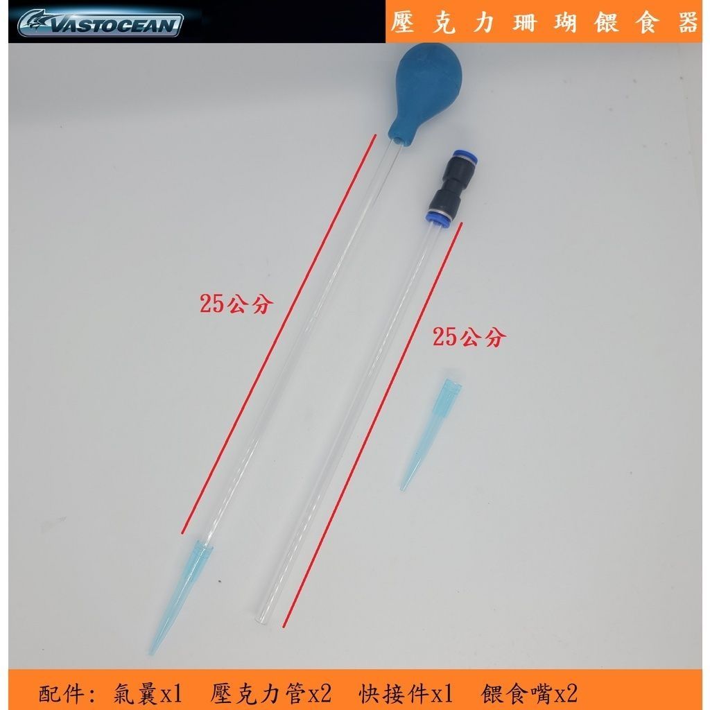 sg-11134201-7rbmp-lnzfpxpbhxnq25