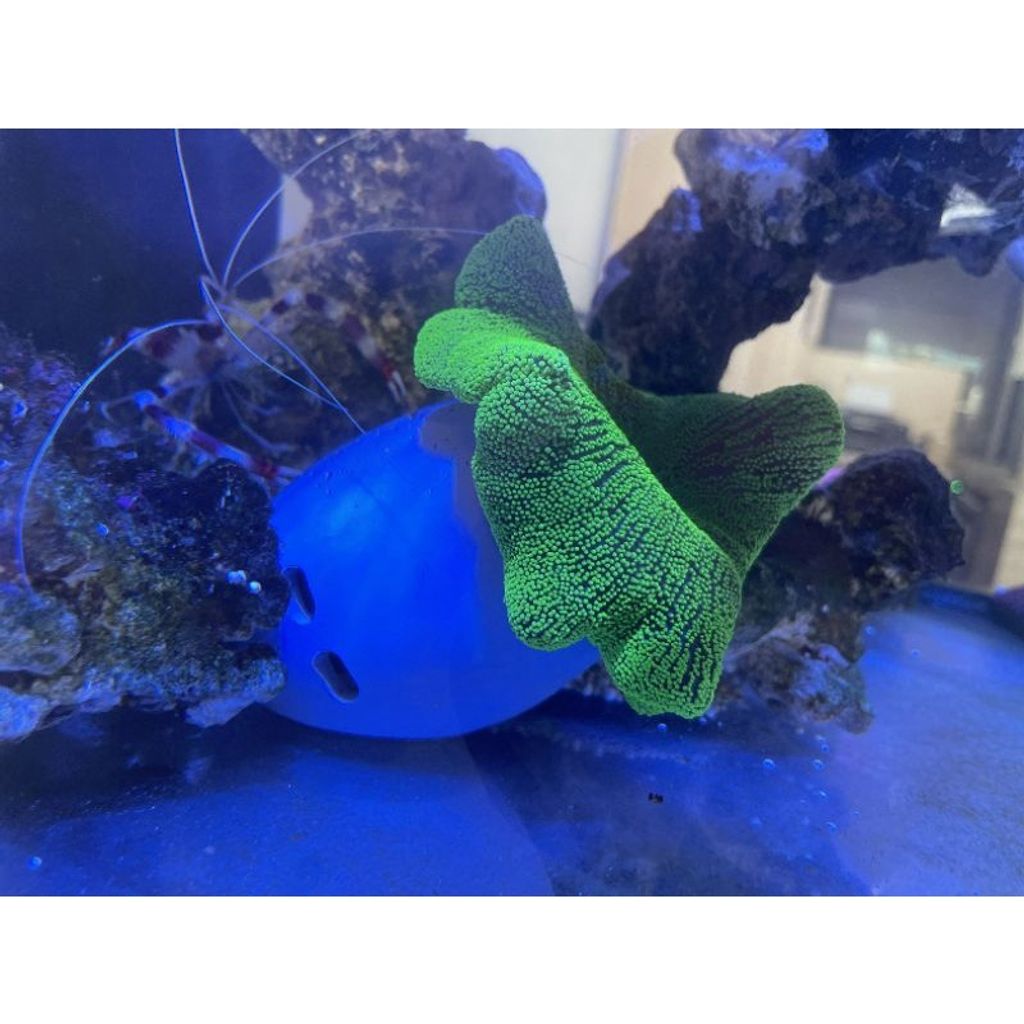 e1df4b2a025be09285a06ee0cd9a1c52