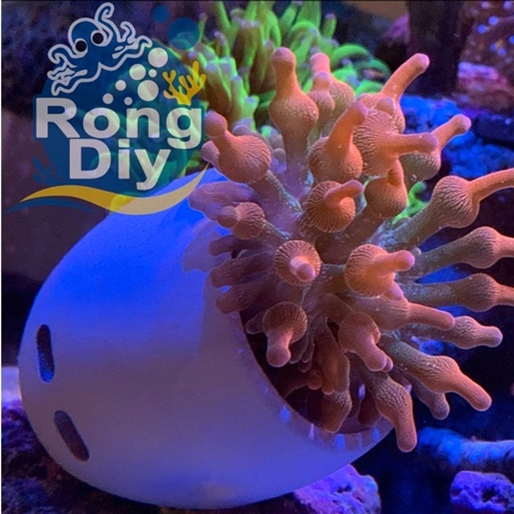 bd89b98d7be41a248773ac0ee9be6e79