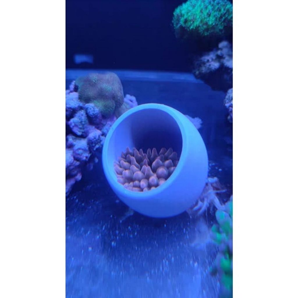 e1f314e760d32d8a8a4df001bd01b99a