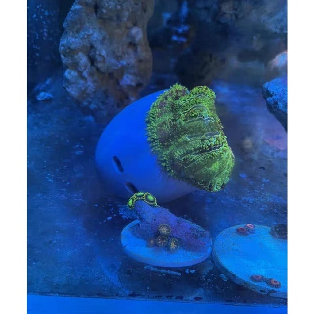 6a1a3e919b8654542830091c76ce7112