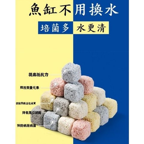 8a50a49585eefaf5ffeca9aaa7a4564e