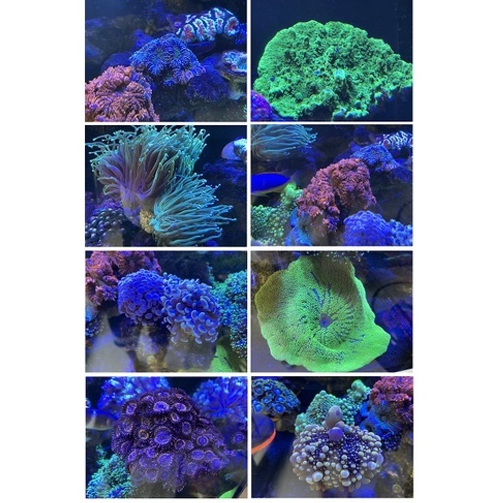 3665941d450836ad85779e19b99206e3