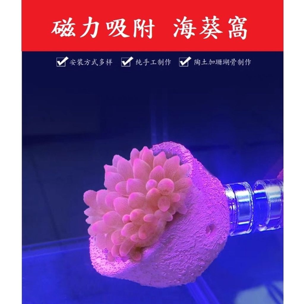 e3785f1192e3f7c3d567dff1b0e35330