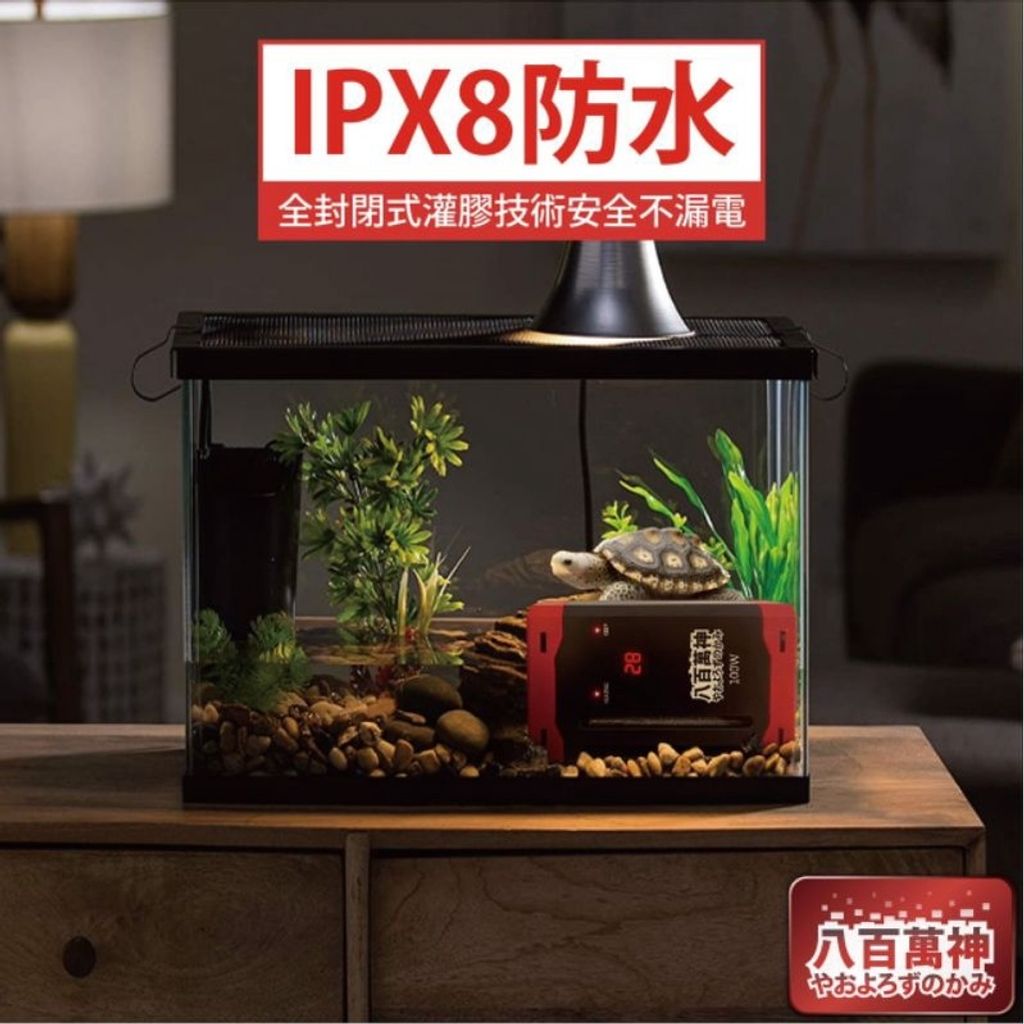 3647a8f8987489080f68a8b561deef04