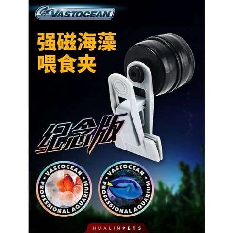 0b6ff479741d5202350cf734c0145965