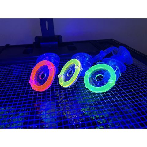 e6312a20a9e00463bbbd7670622f0f30