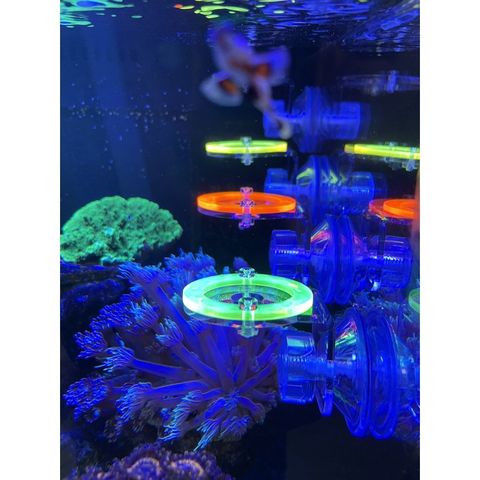 7baffc4070aa5fec57bf3445a27edd7a