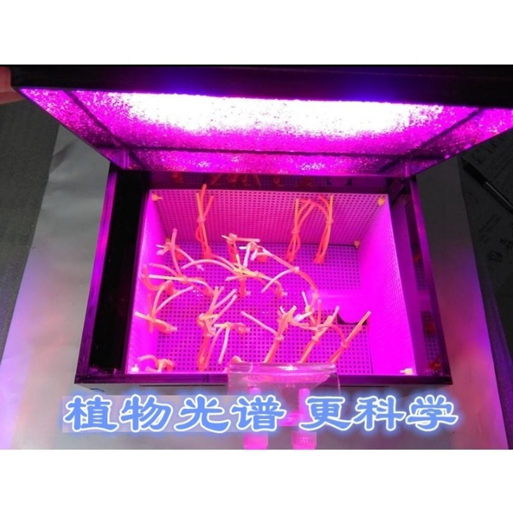 da97d3c9b8ac34e65a61ef0e908e3968