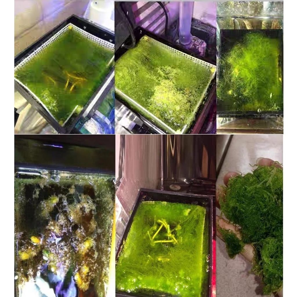 663078314be1fbec38ba687efb3a2725