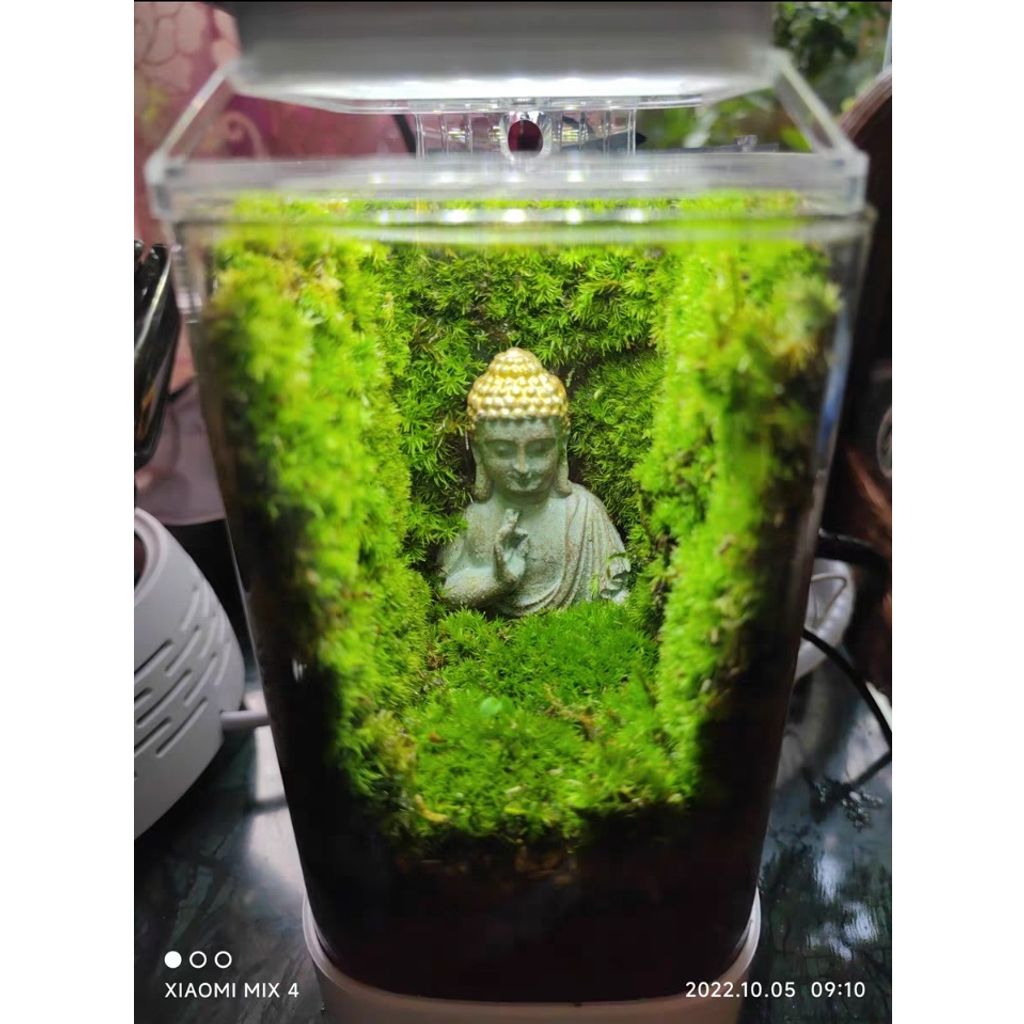 tw-11134207-7qukx-lh4gazuvnbxocf