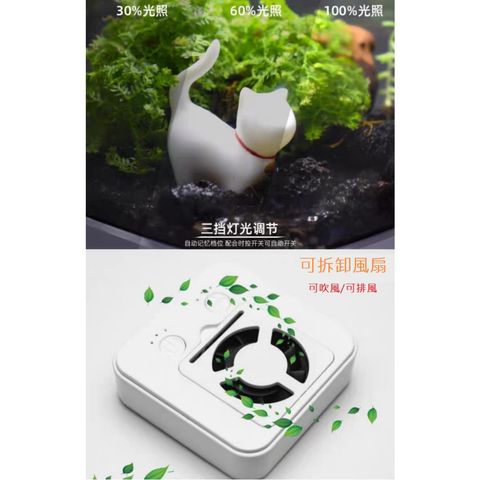 tw-11134207-7qul2-lfsk48r0ld0q89